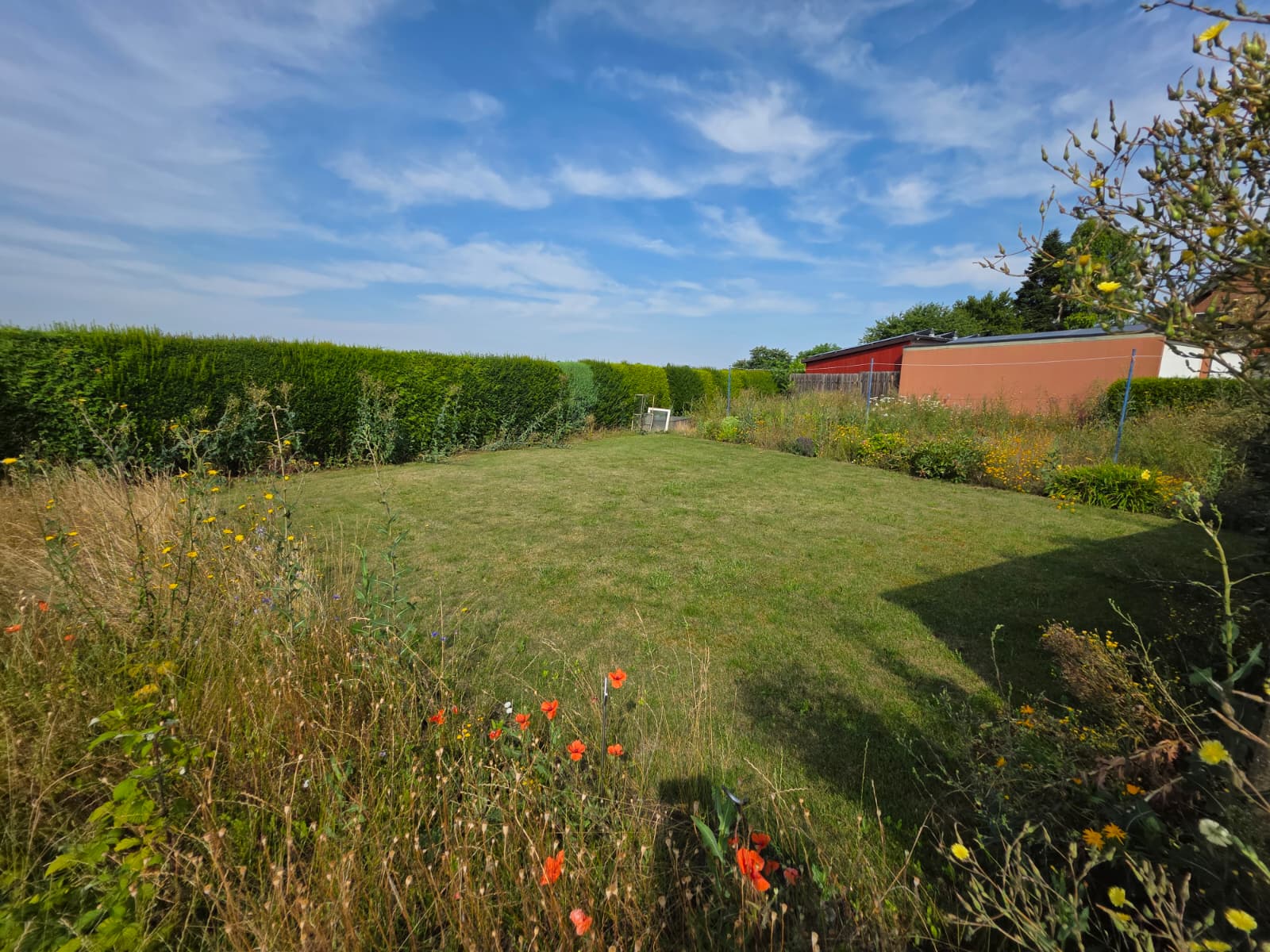 Garten (4)